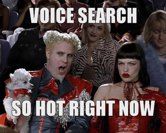 Voice Search - So Hot Right Now